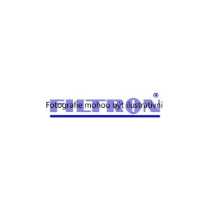 Vzduchový filtr (FILTRON AP190) 1245740