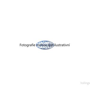 Zapalovací cívka (MAGNETI MARELLI 060717071012) 2457547