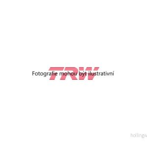 Brzdové destičky (TRW GDB1385) 9858378