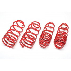 Sportovní pružiny 30/30mm Chrysler 300C (LX) EVOCH004F