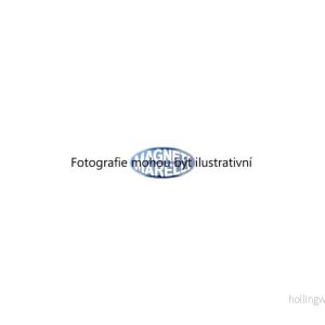 Vodní čerpadlo (MAGNETI MARELLI 352316170998) 3933410