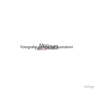 Uložení tlumiče (MAGNUM A7G006MT) 1353905