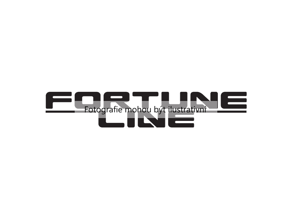 Příčné výkyvné rameno (FORTUNELINE FZ91090) 5913145