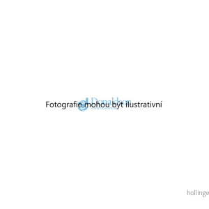 Pojistná vložka filtru vzduchu (DONALDSON P777875) 7112244