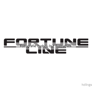 Ulozeni, rucni prevodovka (FORTUNELINE FZ90544) 5715275