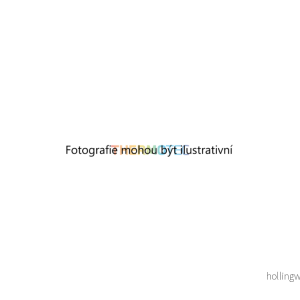 Větrák, chlazení motoru (THERMOTEC D8W002TT) 7593479