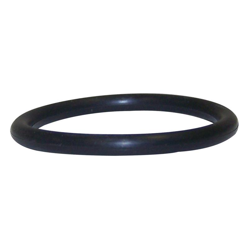 Oil Filter Adapter O-Ring 195351